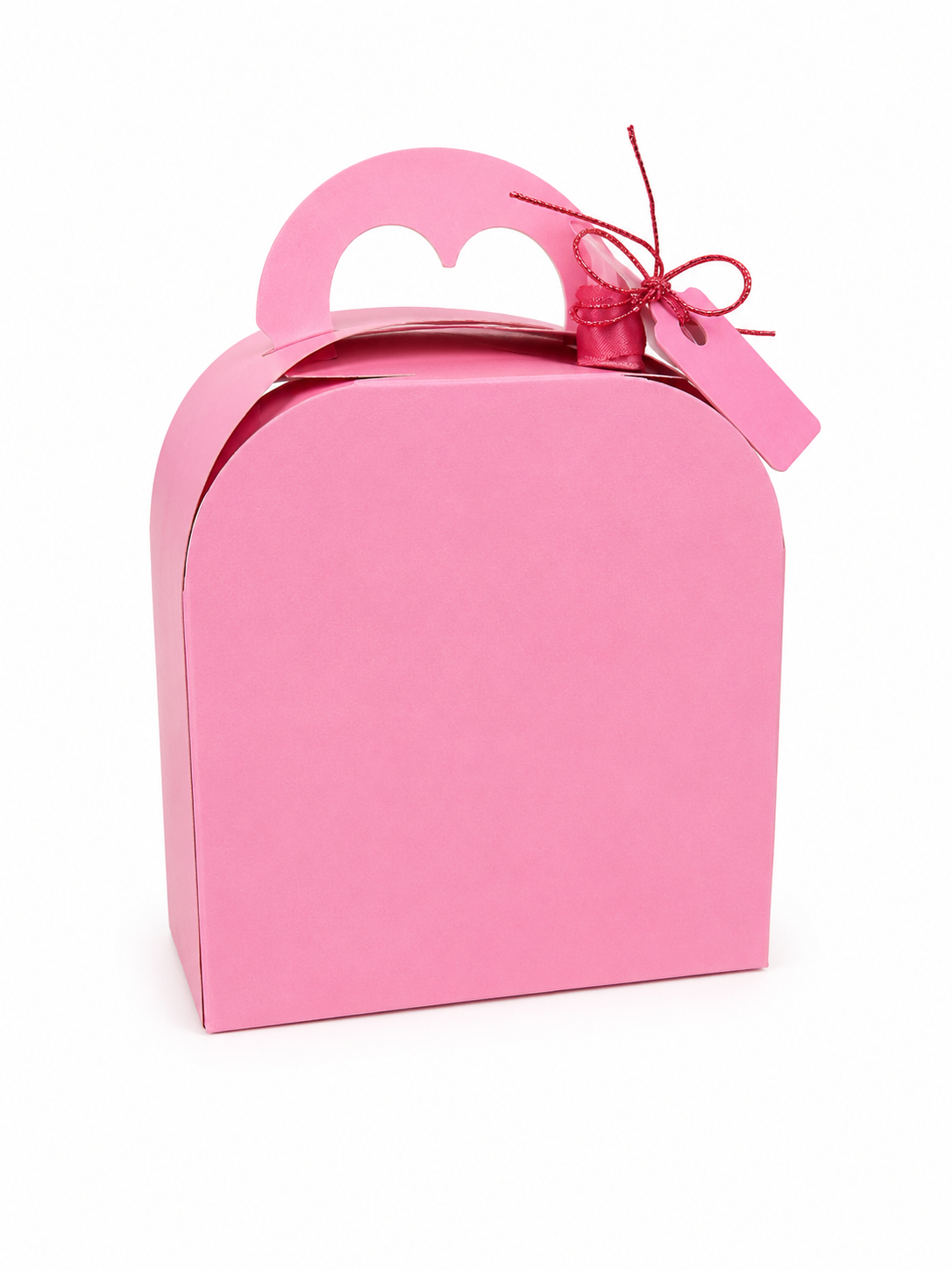 JUMBO HANDLE BOX DIGITAL FILE